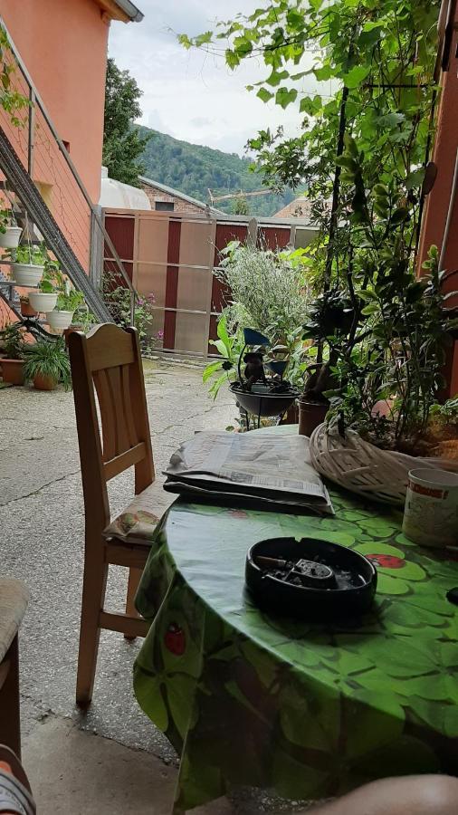 Pension Im Glueck Thale Buitenkant foto